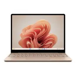 Microsoft Surface Laptop Go 3 - Intel Core i5 - 1235U - jusqu'à 4.4 GHz - Win 11 Home - Carte graphique I... (XKQ-00037)_1